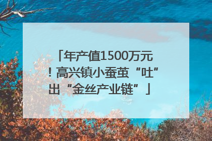 年产值1500万元！高兴镇小蚕茧“吐”出“金丝产业链”