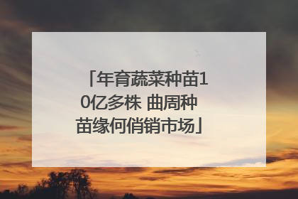 年育蔬菜种苗10亿多株 曲周种苗缘何俏销市场