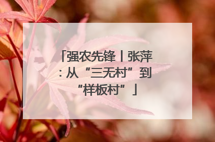 强农先锋丨张萍：从“三无村”到“样板村”