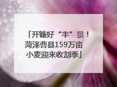开镰好“丰”景！菏泽曹县159万亩小麦迎来收割季