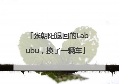 张朝阳退回的Labubu，换了一辆车