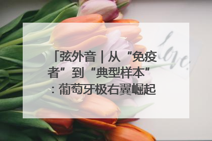 弦外音｜从“免疫者”到“典型样本”：葡萄牙极右翼崛起背后的欧洲困局