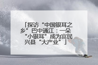 探访“中国银耳之乡”巴中通江：一朵“小银耳”成为富民兴县“大产业”