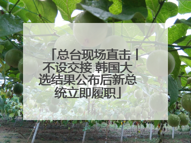 总台现场直击丨不设交接 韩国大选结果公布后新总统立即履职