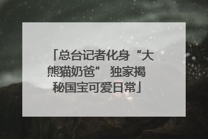 总台记者化身“大熊猫奶爸” 独家揭秘国宝可爱日常