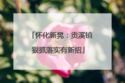 怀化新晃：贡溪镇狠抓落实有新招