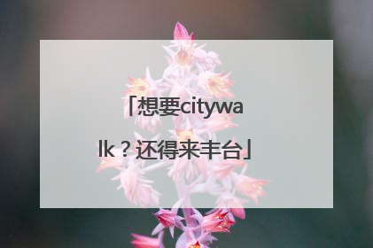 想要citywalk？还得来丰台