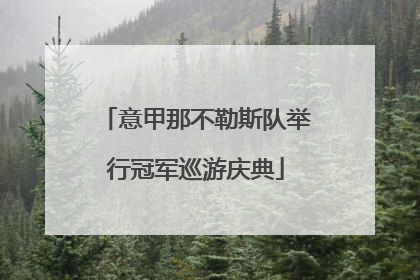意甲那不勒斯队举行冠军巡游庆典