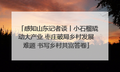 感知山东记者谈丨小石榴撬动大产业 枣庄破局乡村发展难题 书写乡村共富答卷