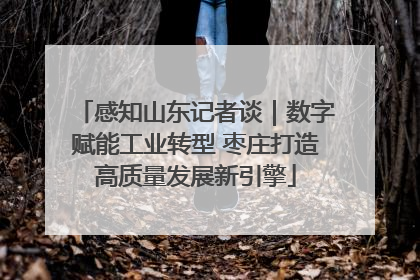 感知山东记者谈｜数字赋能工业转型 枣庄打造高质量发展新引擎