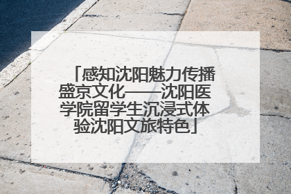 感知沈阳魅力传播盛京文化——沈阳医学院留学生沉浸式体验沈阳文旅特色