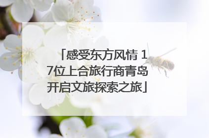感受东方风情 17位上合旅行商青岛开启文旅探索之旅