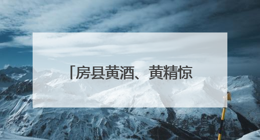 房县黄酒、黄精惊艳亮相中国国际文化产业博览交易会