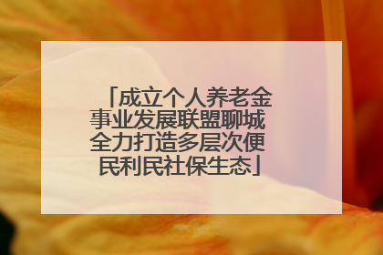 成立个人养老金事业发展联盟聊城全力打造多层次便民利民社保生态