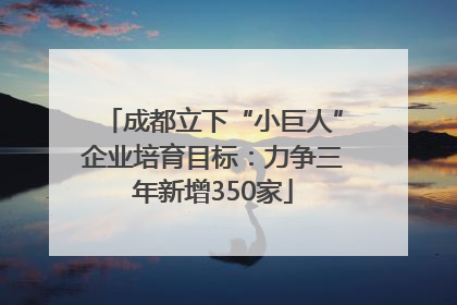 成都立下“小巨人”企业培育目标：力争三年新增350家