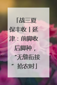 战三夏 保丰收丨延津：前脚收 后脚种，“无缝衔接”抢农时