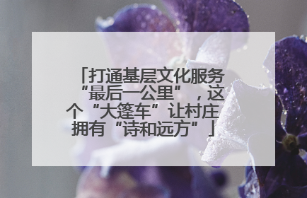 打通基层文化服务“最后一公里”，这个“大篷车”让村庄拥有“诗和远方”