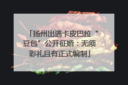 扬州出逃卡皮巴拉“豆包”公开征婚：无须彩礼且有正式编制