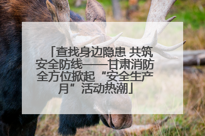 查找身边隐患 共筑安全防线——甘肃消防全方位掀起“安全生产月”活动热潮