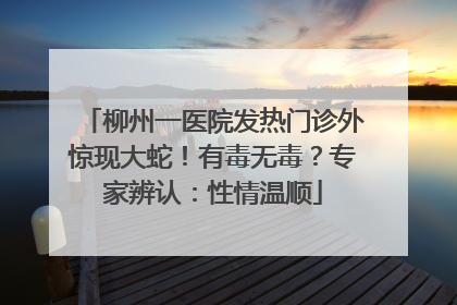 柳州一医院发热门诊外惊现大蛇！有毒无毒？专家辨认：性情温顺