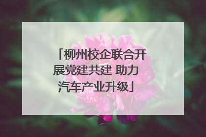 柳州校企联合开展党建共建 助力汽车产业升级