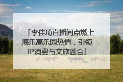 李佳琦直播间点燃上海乐高乐园热情，引领IP消费与文旅融合