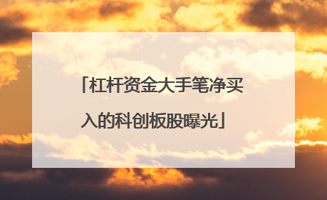 杠杆资金大手笔净买入的科创板股曝光