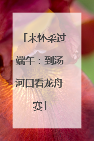 来怀柔过端午：到汤河口看龙舟赛