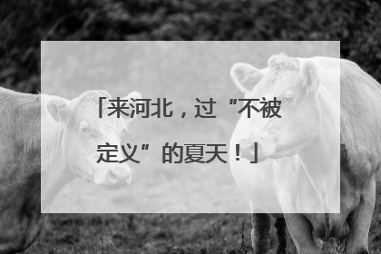 来河北，过“不被定义”的夏天！
