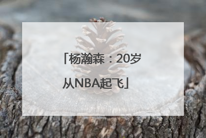 杨瀚森：20岁从NBA起飞