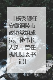 杨秀颀任安徽铜陵市政协党组成员、秘书长人选，曾任枞阳县委书记