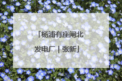 杨浦有座闸北发电厂｜张新