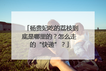 杨贵妃吃的荔枝到底是哪里的？怎么走的“快递”？