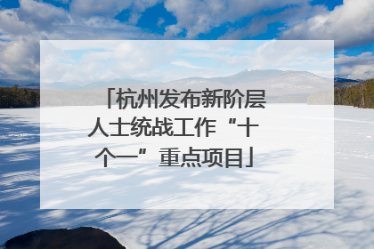 杭州发布新阶层人士统战工作“十个一”重点项目