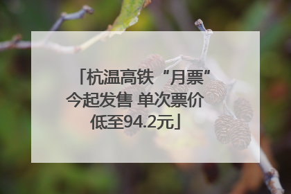 杭温高铁“月票”今起发售 单次票价低至94.2元