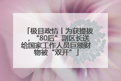 极目政情丨为获提拔，“80后”副区长送给国家工作人员巨额财物被“双开”