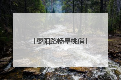 枣阳路畅皇桃俏