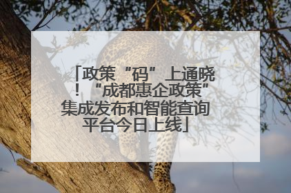 政策“码”上通晓！“成都惠企政策”集成发布和智能查询平台今日上线
