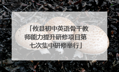 攸县初中英语骨干教师能力提升研修项目第七次集中研修举行
