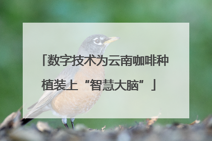 数字技术为云南咖啡种植装上“智慧大脑”