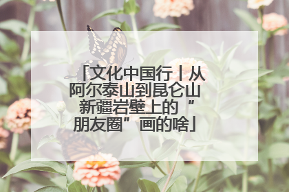 文化中国行丨从阿尔泰山到昆仑山 新疆岩壁上的“朋友圈”画的啥