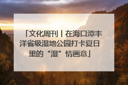 文化周刊丨在海口潭丰洋省级湿地公园打卡夏日里的“湿”情画意
