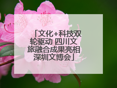 文化+科技双轮驱动 四川文旅融合成果亮相深圳文博会