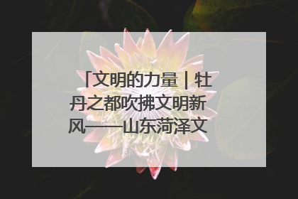 文明的力量｜牡丹之都吹拂文明新风——山东菏泽文明创建一线见闻