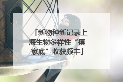 新物种新记录上海生物多样性“摸家底”收获颇丰