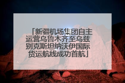 新疆机场集团自主运营乌鲁木齐至乌兹别克斯坦纳沃伊国际货运航线成功首航