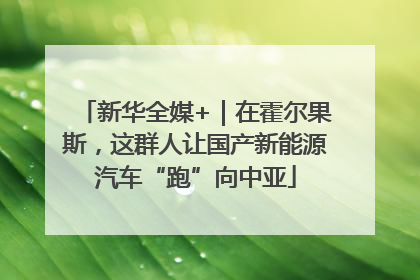 新华全媒+｜在霍尔果斯，这群人让国产新能源汽车“跑”向中亚
