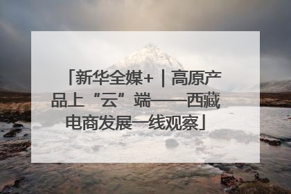 新华全媒+｜高原产品上“云”端——西藏电商发展一线观察