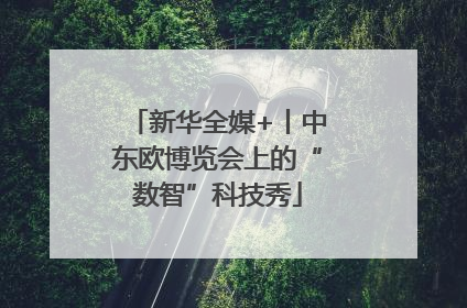 新华全媒+丨中东欧博览会上的“数智”科技秀
