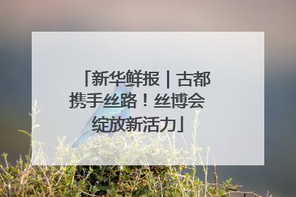 新华鲜报｜古都携手丝路！丝博会绽放新活力